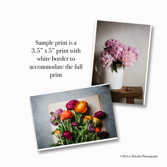 Sample Prints | A Tool For Choosing Wall Art