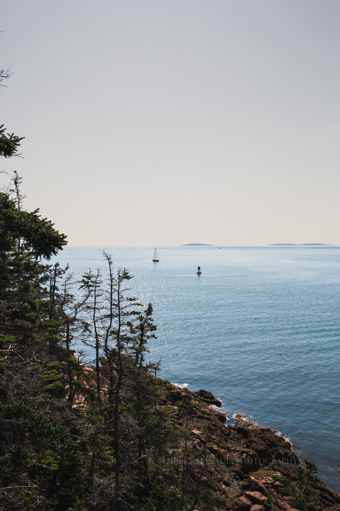 Acadia Maine Photograph