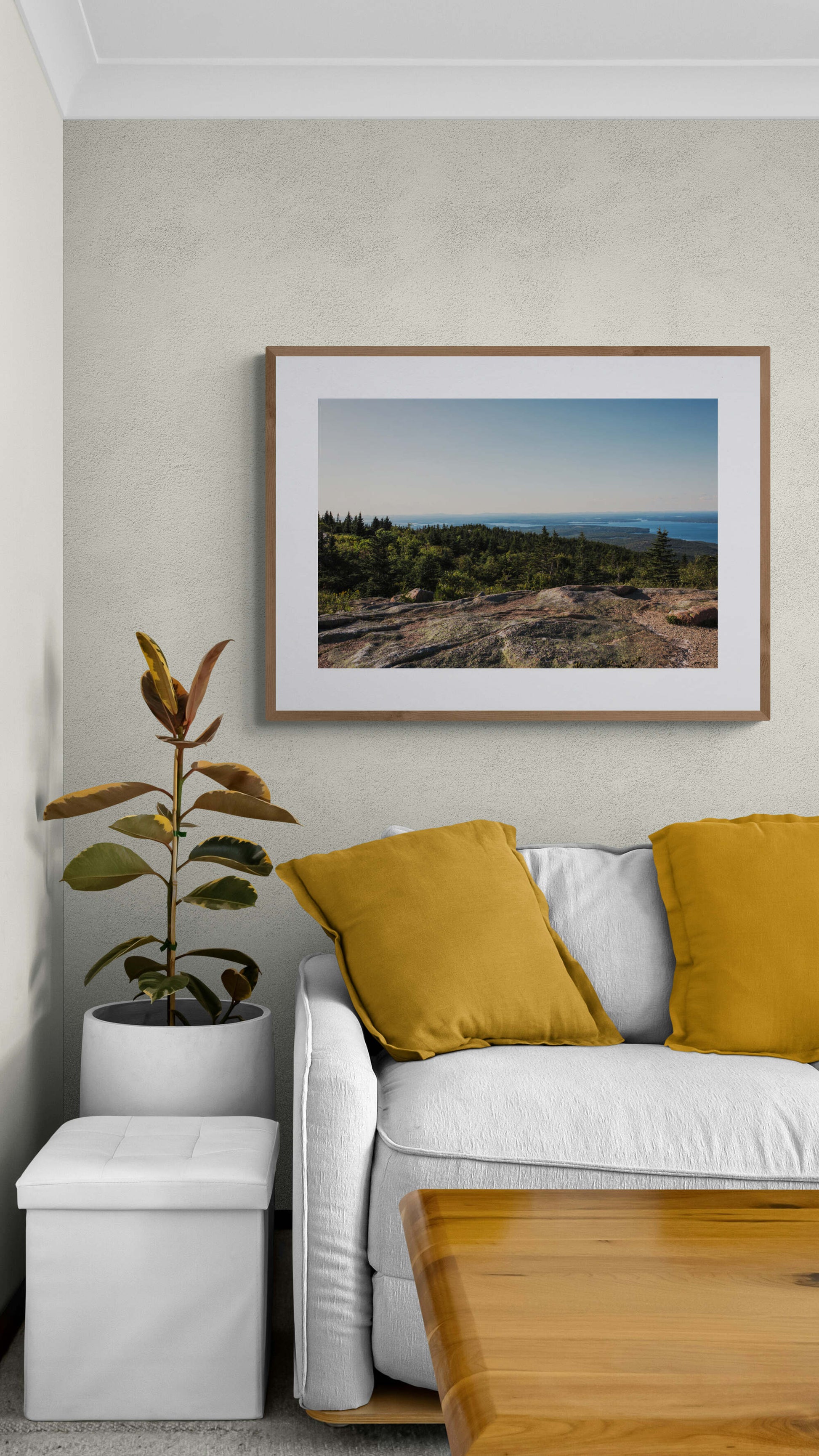 Acadia National Park in Maine Wall Art as Decor in Living Room