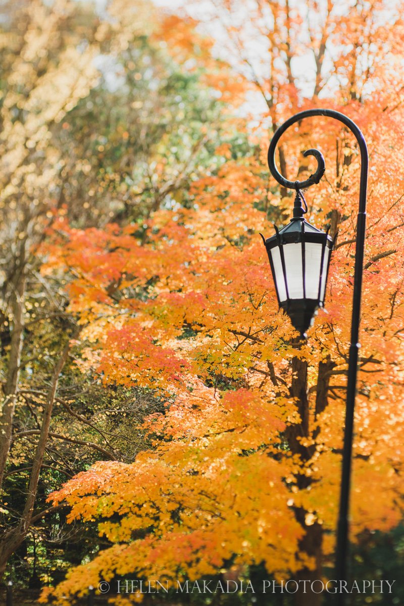 Photograph of Black Lantern at Wellesley College