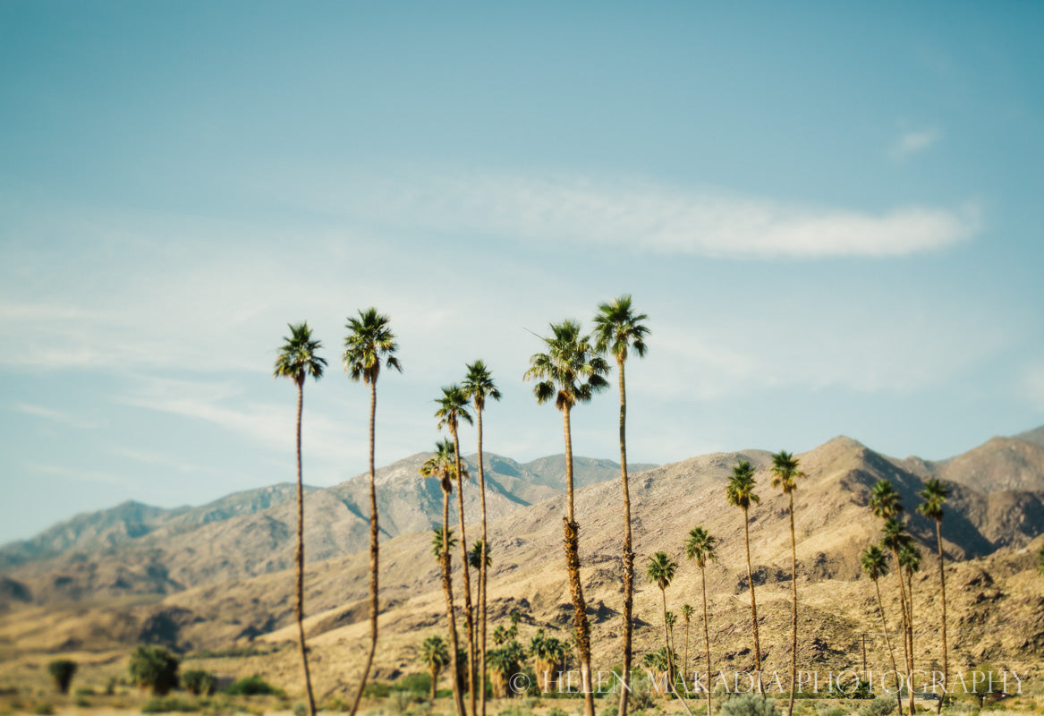 Palm Springs California Desert Print