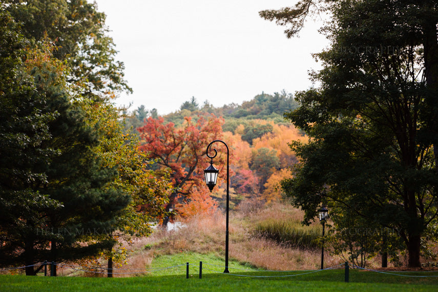 Wellesley College Landscape