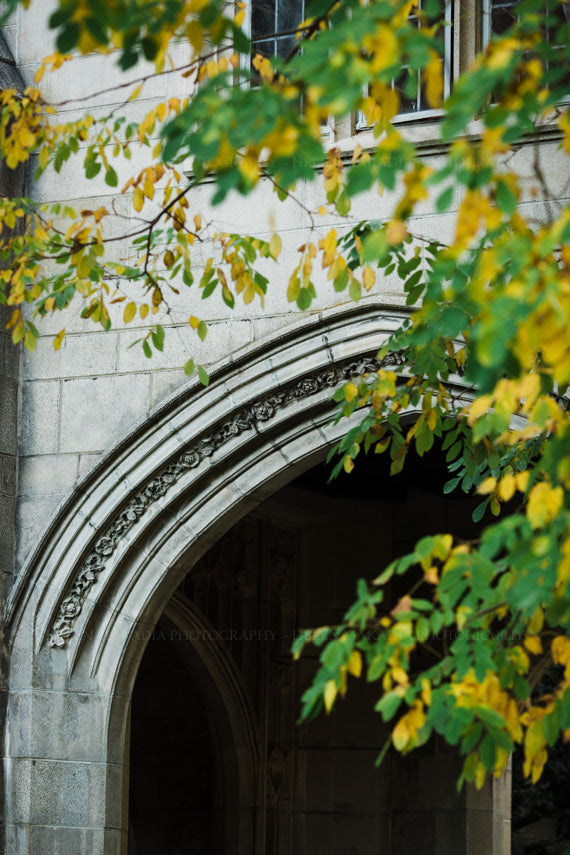 Tower Court Wellesley College Stone Detail Photograph