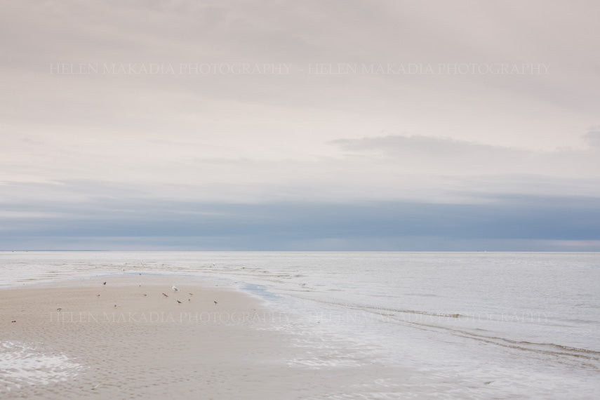 A Calm Beach on Cape Cod