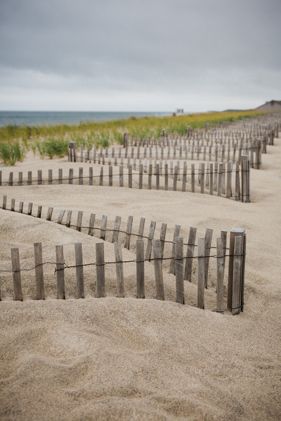 Fences at Nauset Beach, Cape Cod Photograph