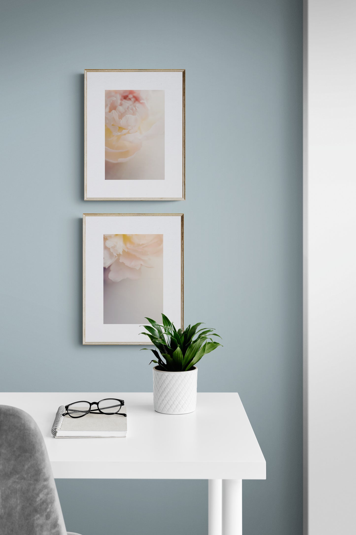 Two Pink Peony Photograph prints in a home office a wall art