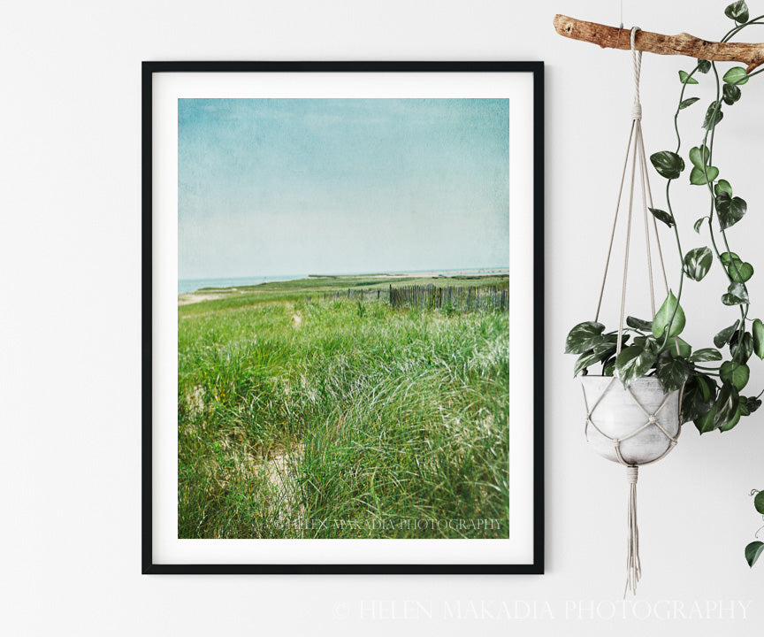 Cape Cod Chatham Beaches Print on a Wall