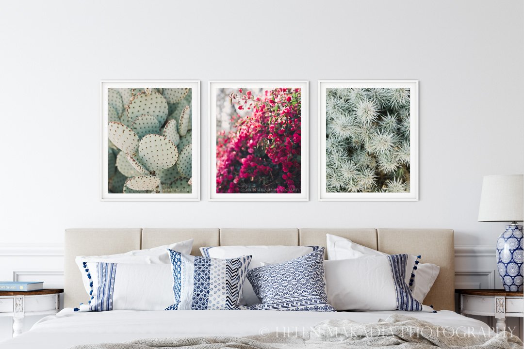 Set of 3 Desert Details on a Bedroom Wall