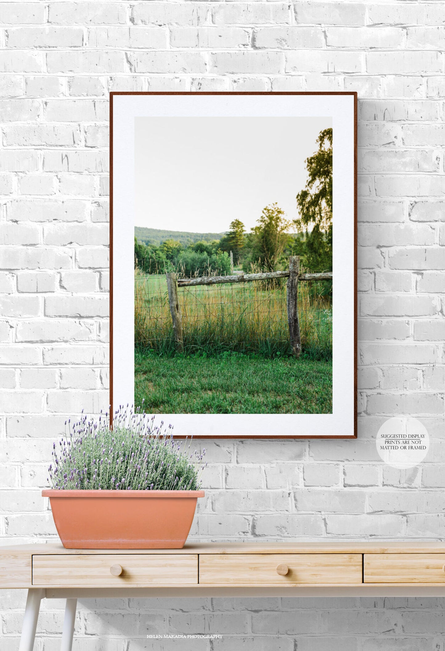 Wooden Fence and Country Field Framed Print
