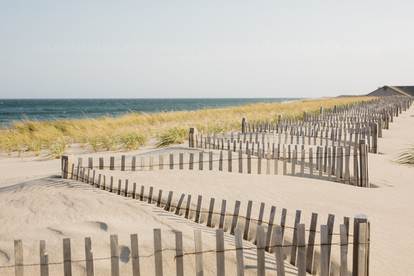 Windblown Dunes and Fences, Cape Cod Photograph
