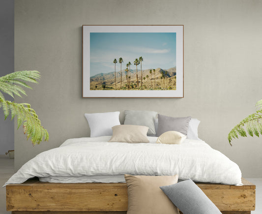 Photograph of Palm Springs Print framed as Wall Art 