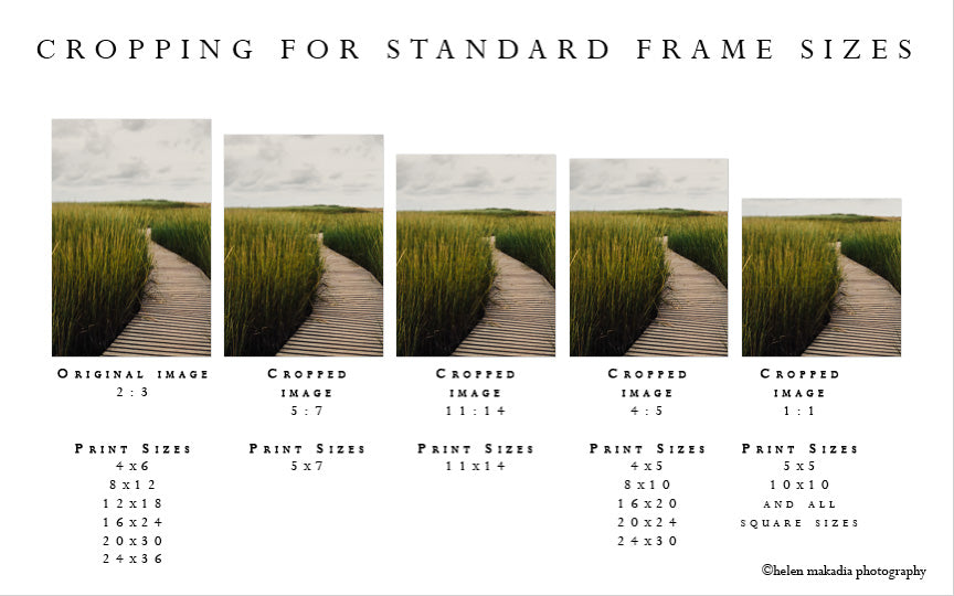 Cropping Photographs to Fit Standard Frame Sizes