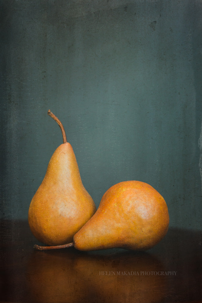 A photograph of two brown bosc pairs that has textures added for a rustic finish