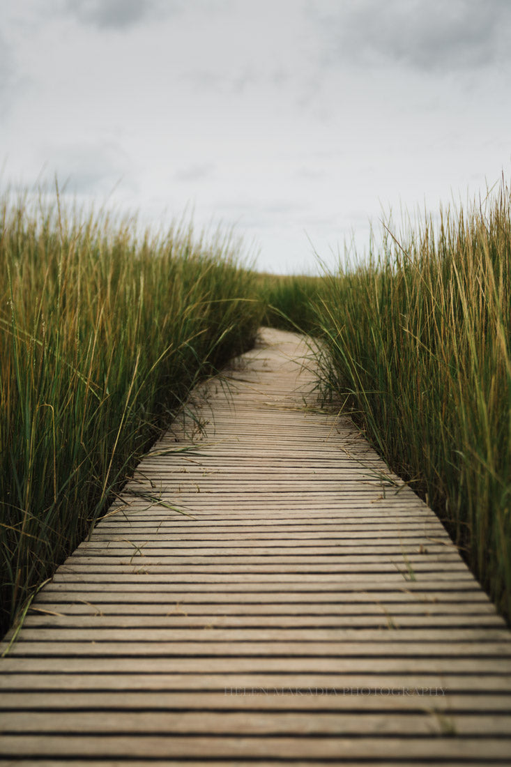 Boardwalk, Nature Beach Photograph