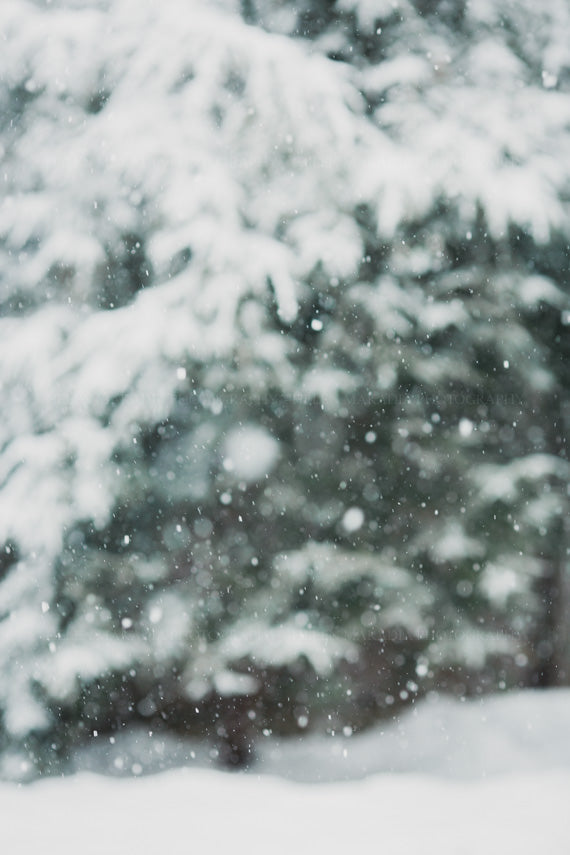 A photograph of snow falling in winter