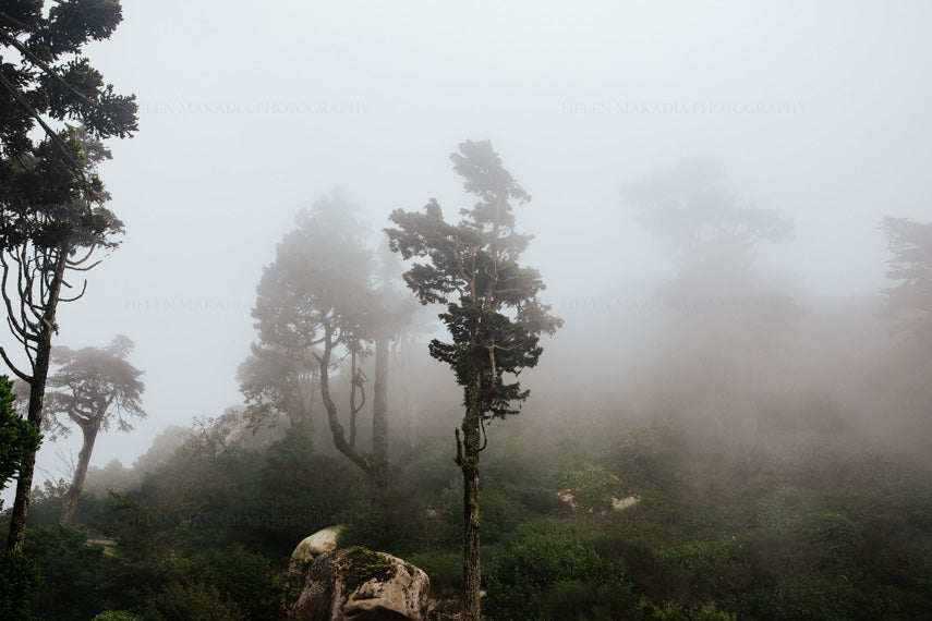 Photograph of the Grounds of the Moorish Castle, Sintra Portugal