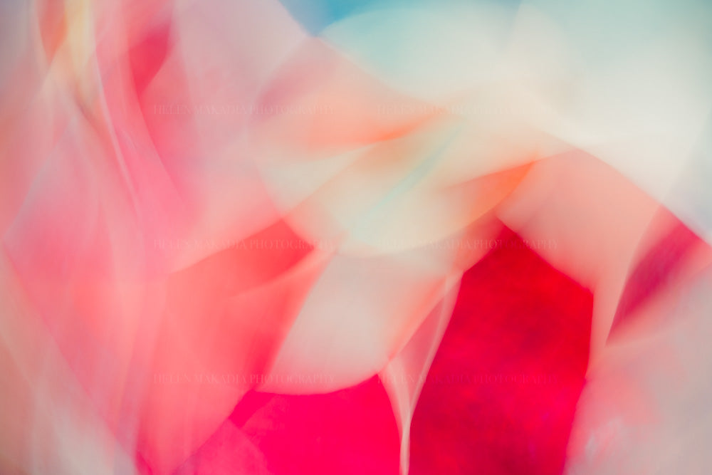 Abstract Photograph with pink coral blue and white colors