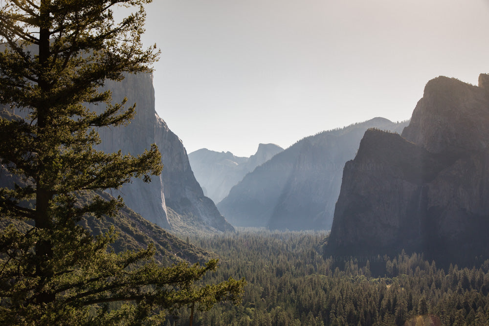 View of Yosemite from Tunnel Pass