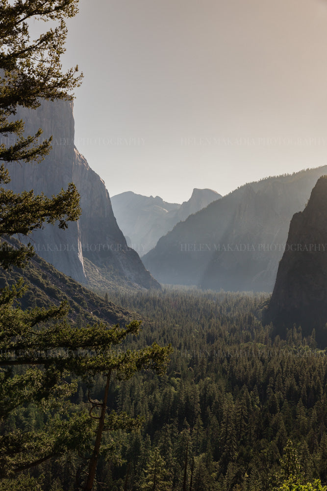 A photograph of Yosemite National Park and the view of the Valley Floor and landmarks.