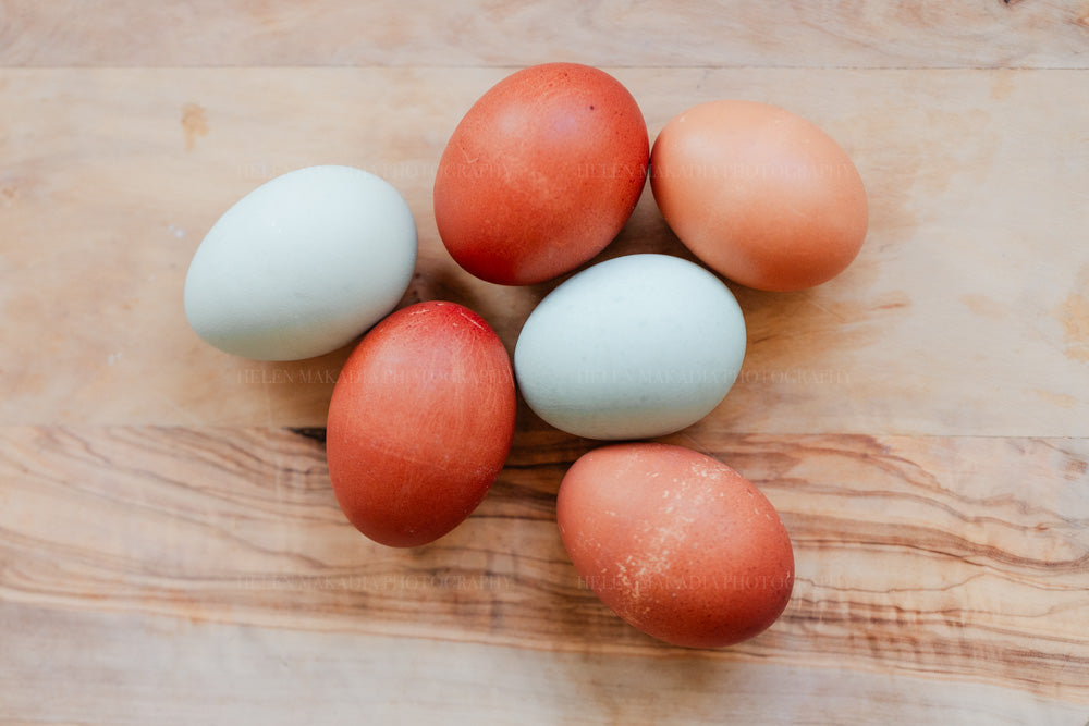 Photograph of Multicolored Eggs 