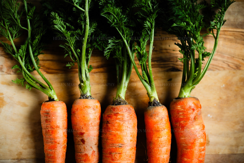 Photograph of freshly picked orange carrots