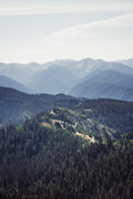 A photograph of an aerial view of hurricane ridge in Olympic National park