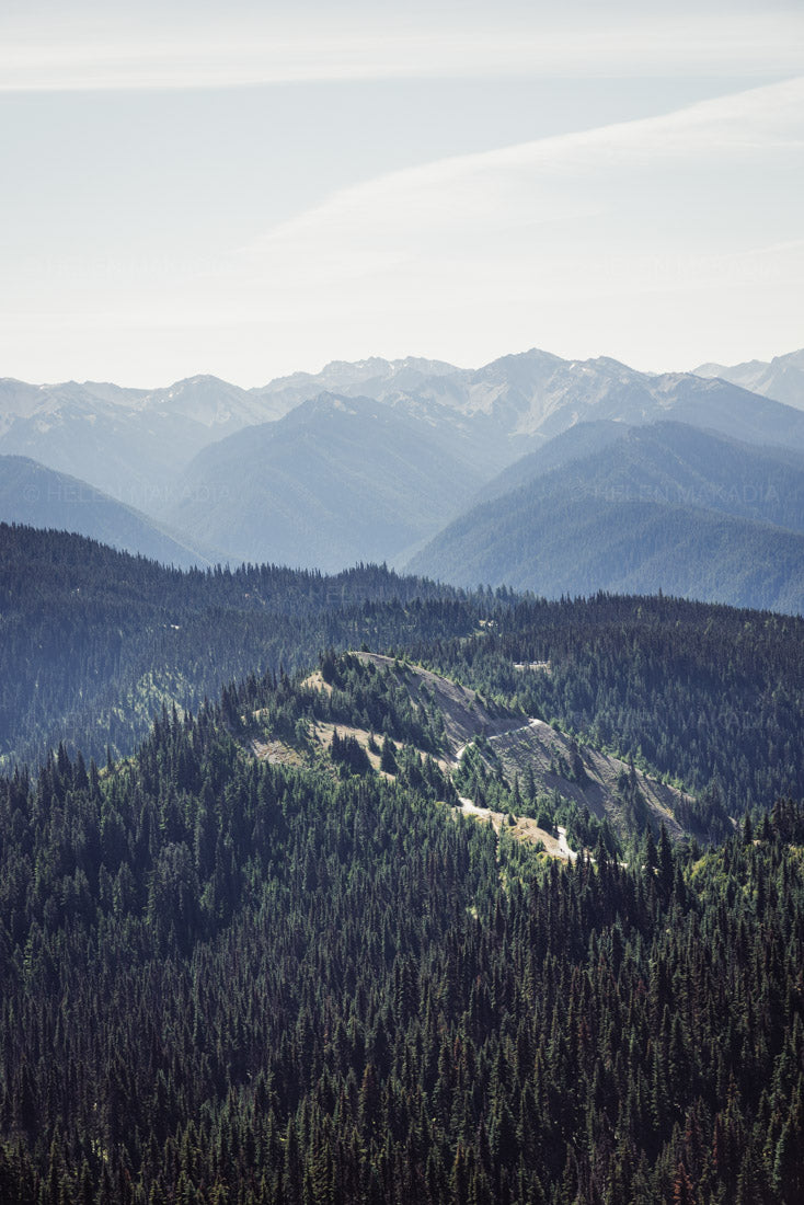 A photograph of an aerial view of hurricane ridge in Olympic National park