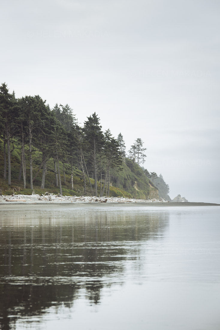 Peaceful Ruby Beach in Olympic National Park