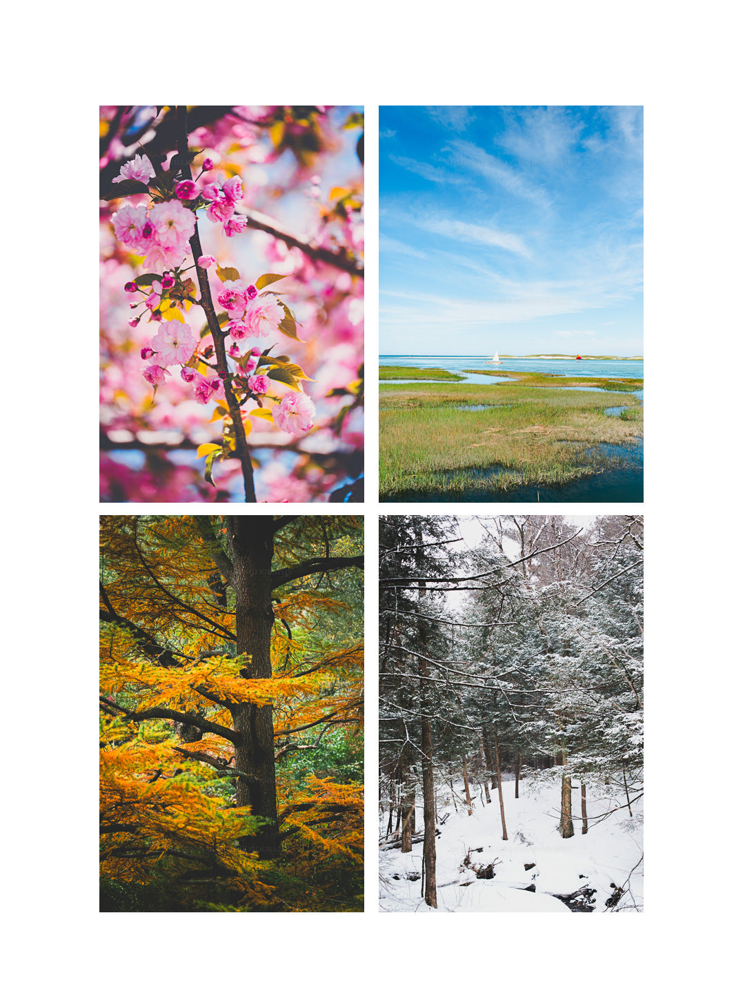 Four photographs displaying the 4 seasons in New England and Massachusetts