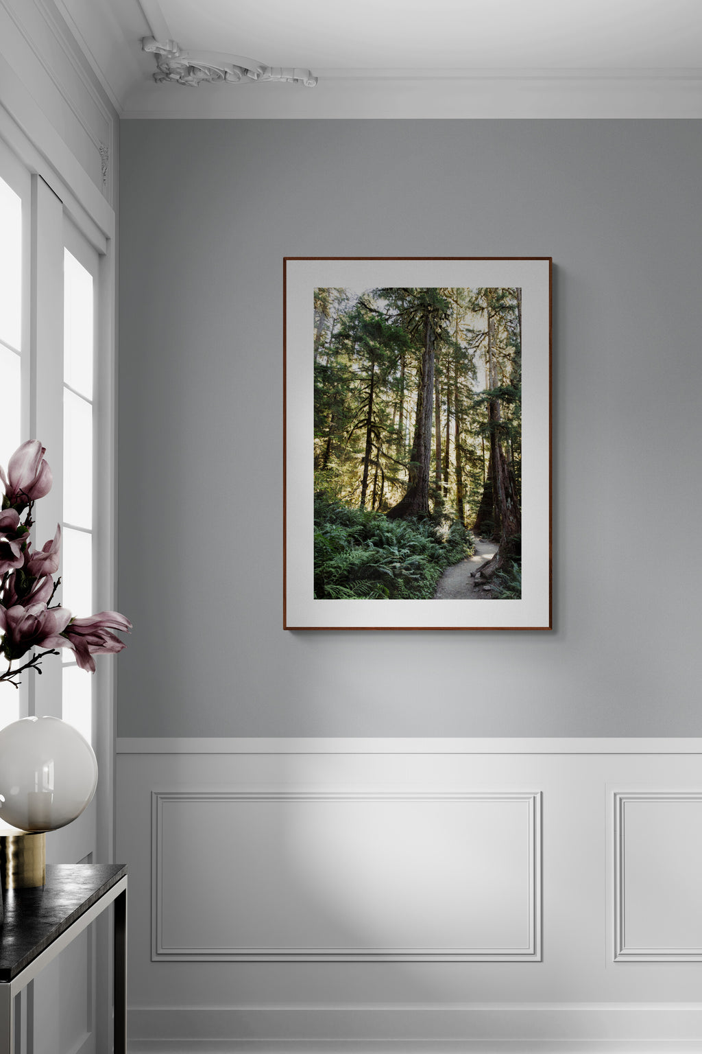 A photograph of a forest of mossy trees in the Sol Duc Trail in Olympic National Park in a hallway.