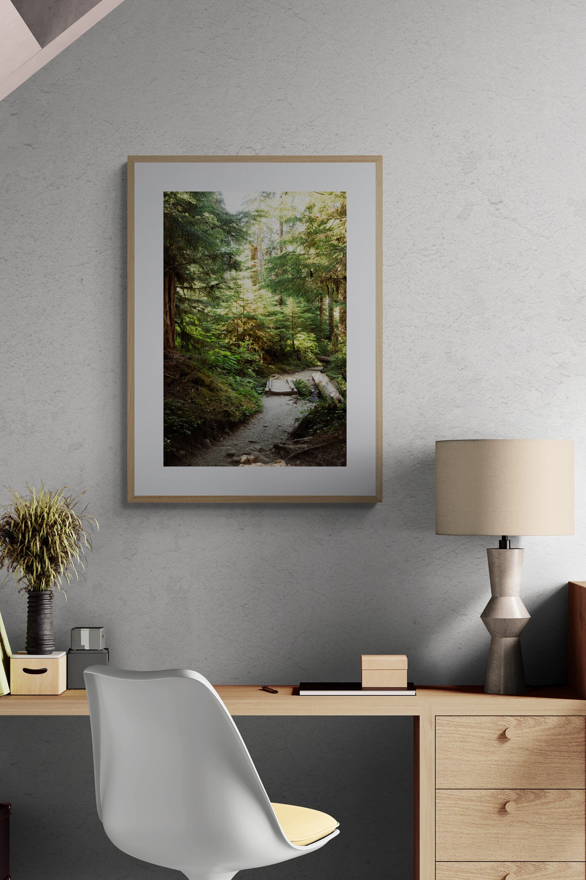 Sol Duc Trail, Olympic National Park Photograph