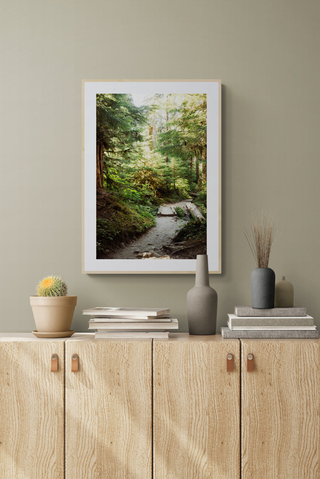 Sol Duc Trail, Olympic National Park Photograph