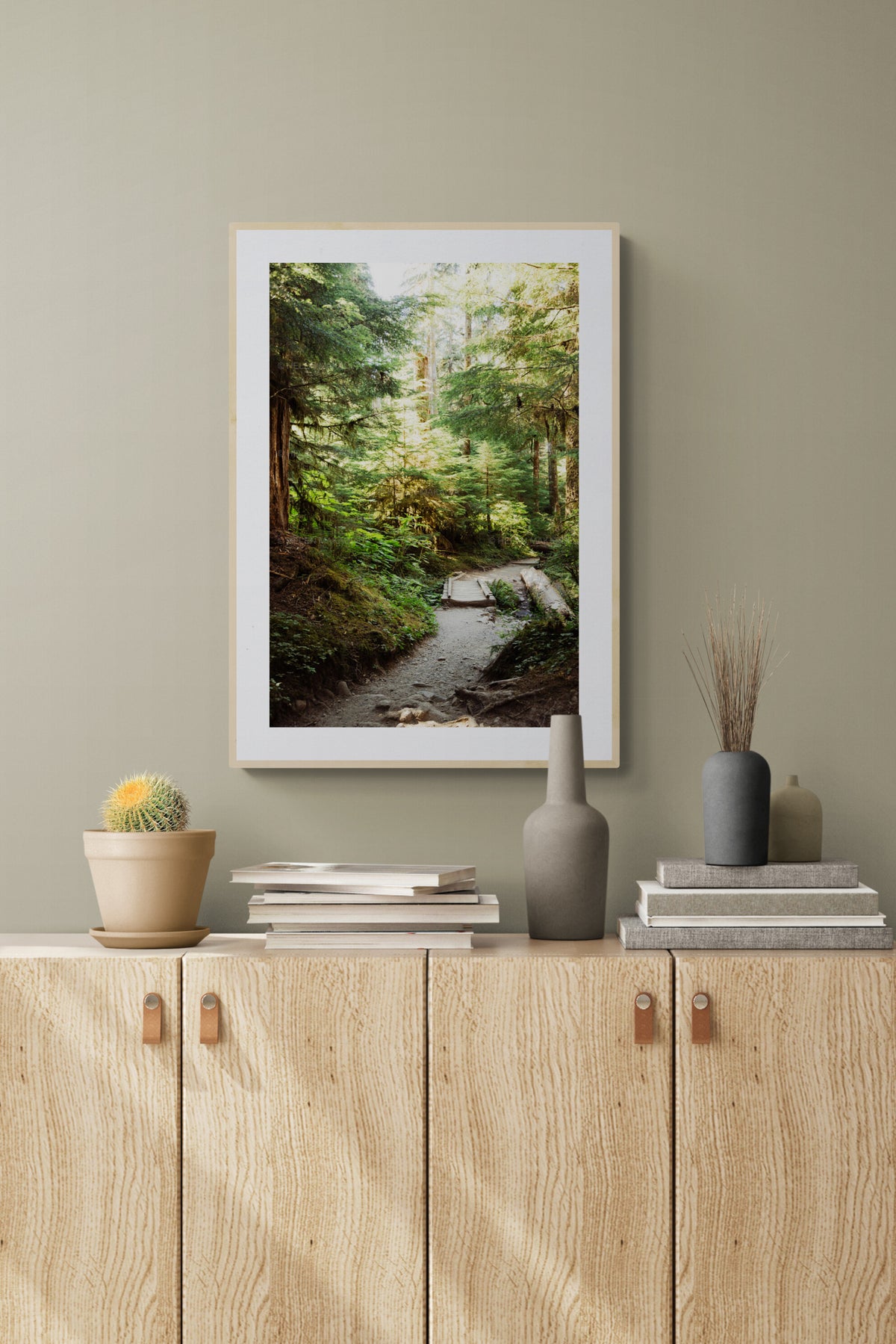 Sol Duc Trail, Olympic National Park Photograph