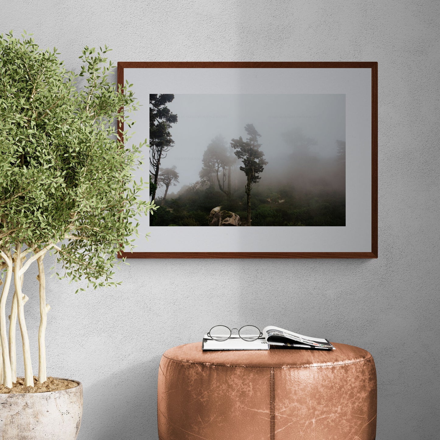 Photograph of foogy trees at moorish castle in sintra portugal as home decor