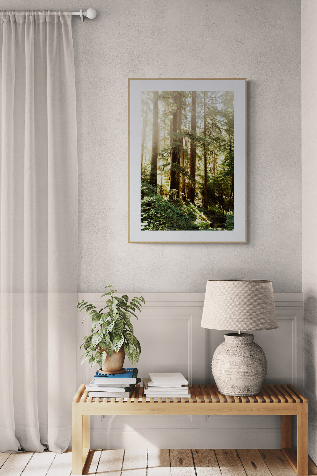 Sol Duc Trail, Olympic National Park Photograph