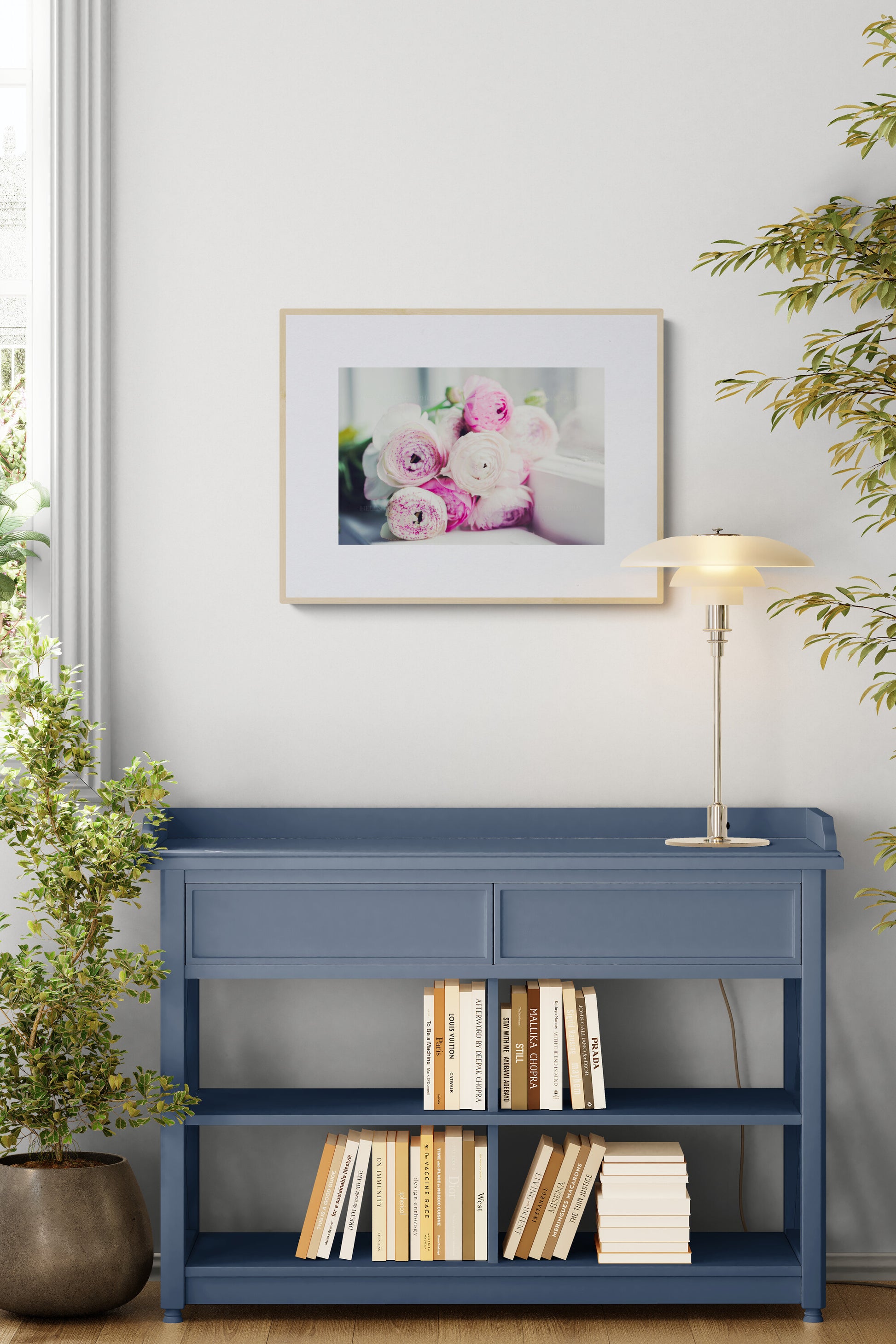 A photograph of lavender pink ranunculus flowers in a study as calming wall art decor.