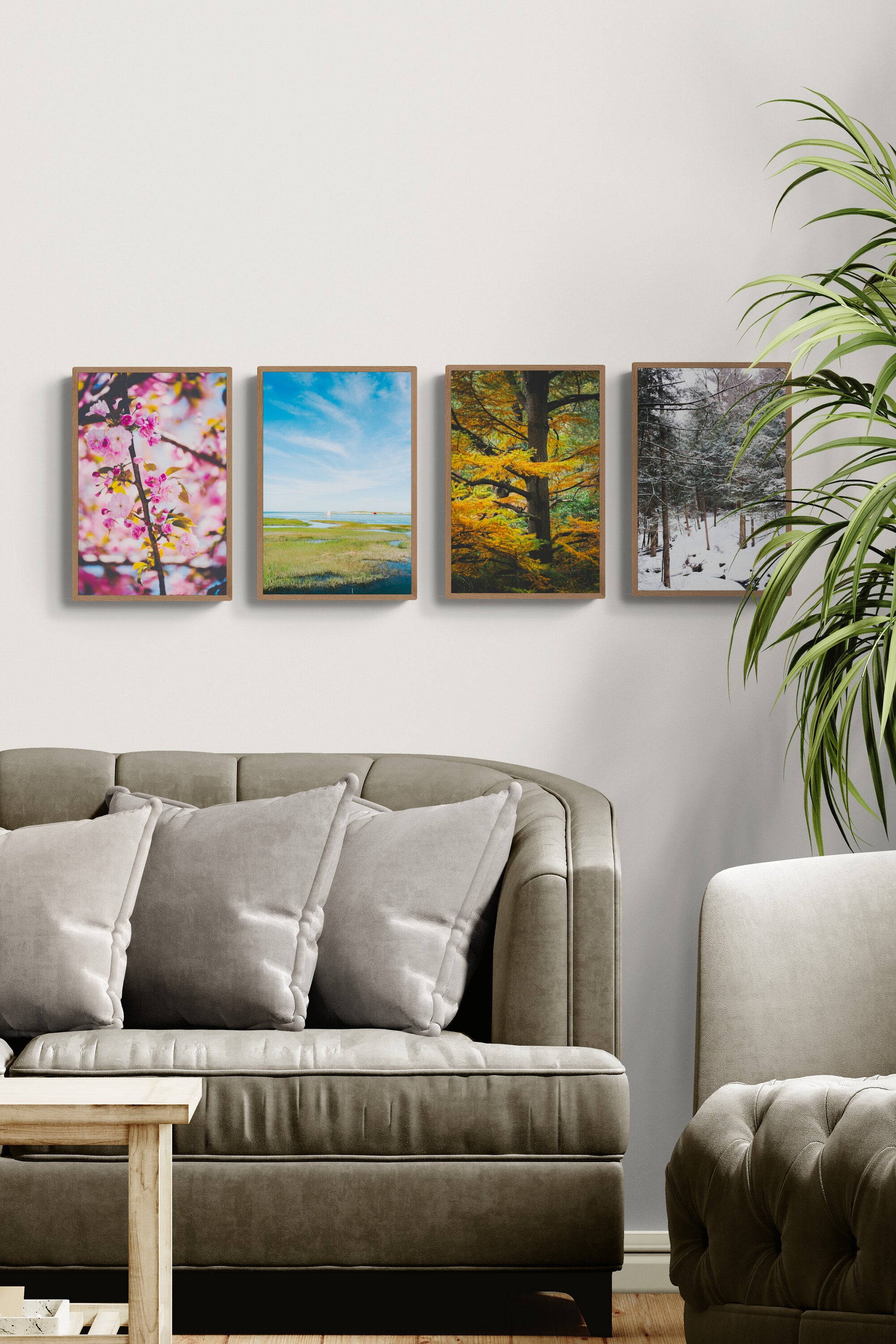 Gallery of 4 photographs showcasing seasons in New England and Massachusetts in a living room.