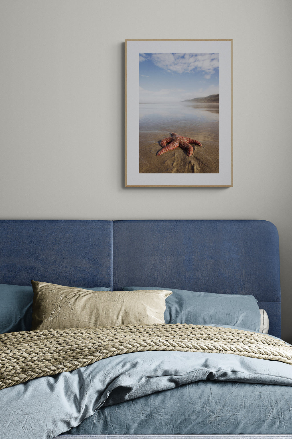 A photograph print in a bedroom of a starfish at kalaloch beach in olympic national park in washington state.