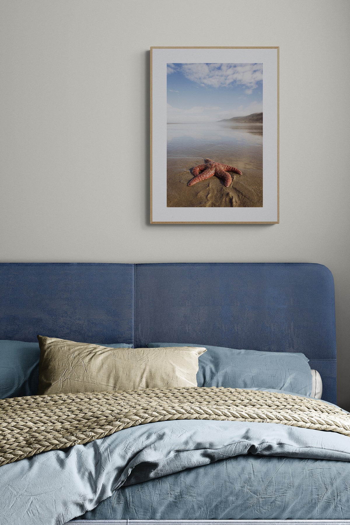 A photograph print in a bedroom of a starfish at kalaloch beach in olympic national park in washington state.