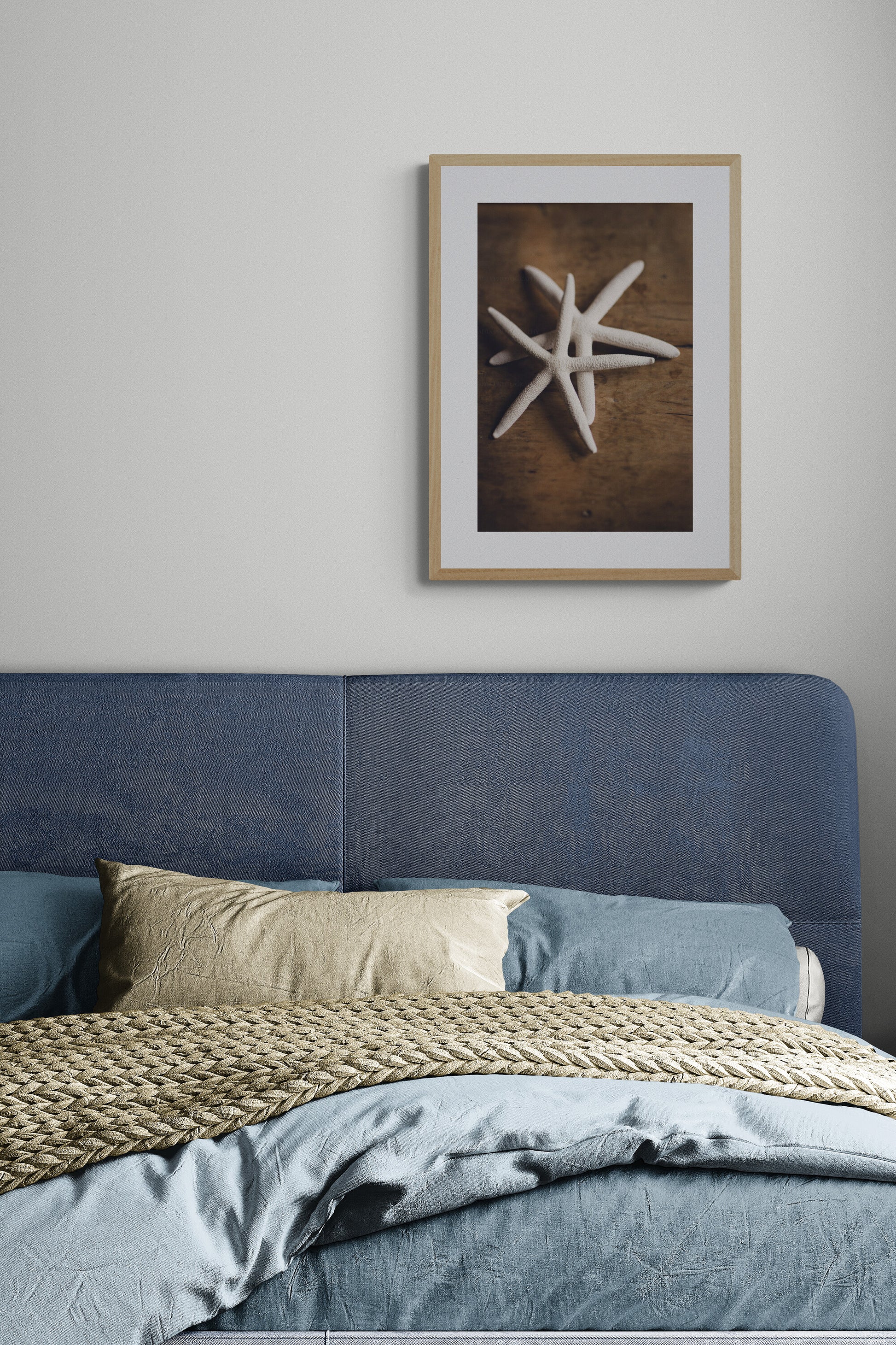 A photograph of white starfish photograph print in a bedroom as wall art.