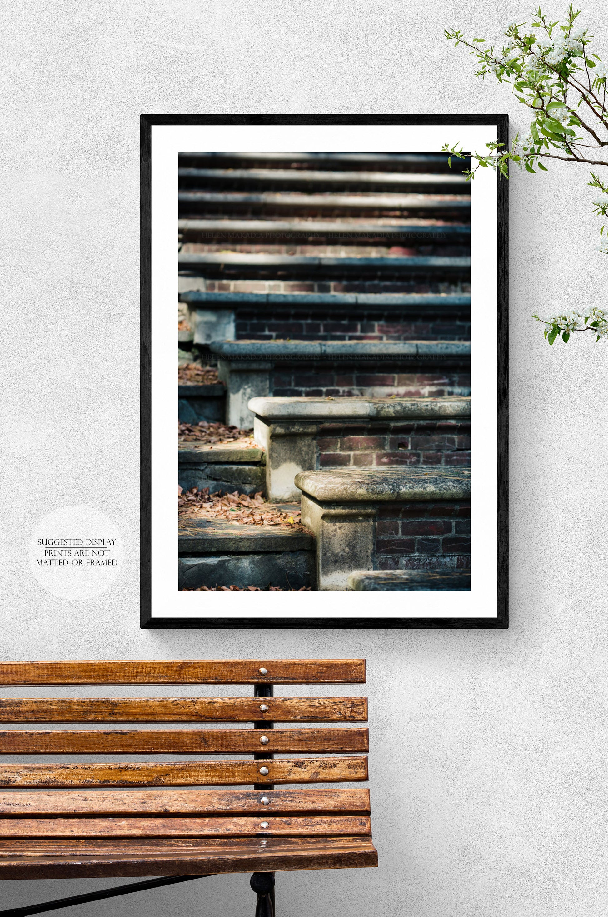A Framed Print of the Stone Steps of the Amphitheater at Wellesley College