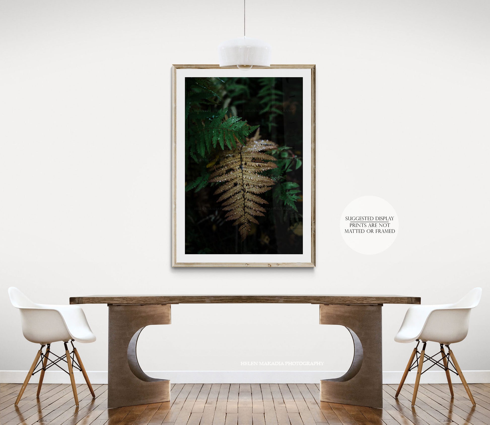 Autumn Fern with Raindrops framed in a dining room