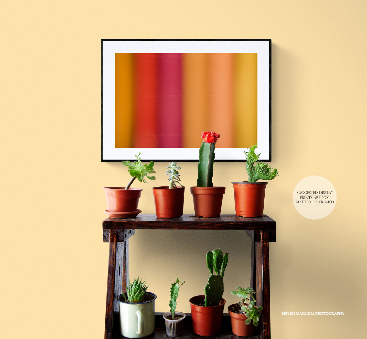 Framed Photograph of Yellow and Pink Abstract Colors, in a room with succulents