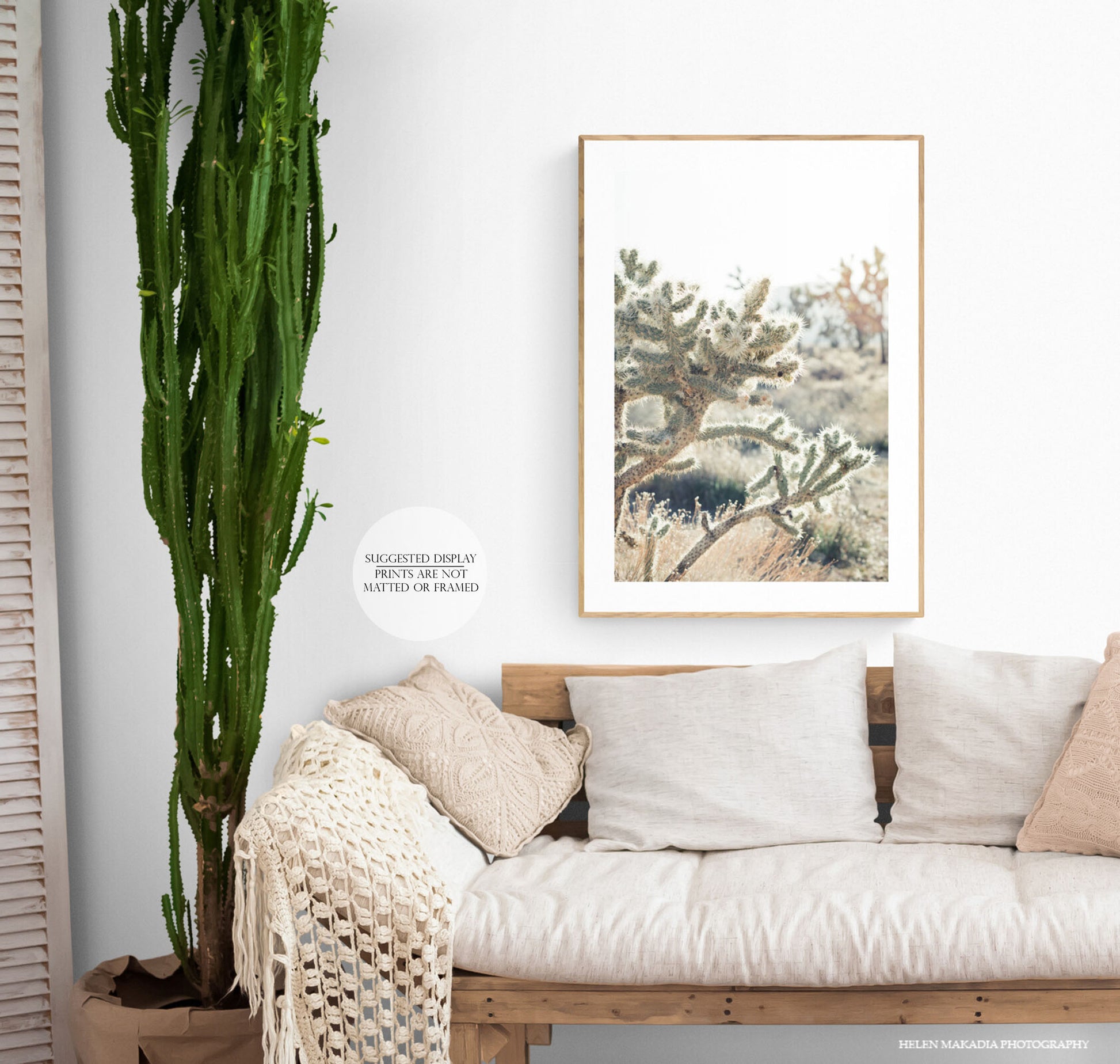 Sunlit Cactus in Joshua Tree Print Framed in Living Room 