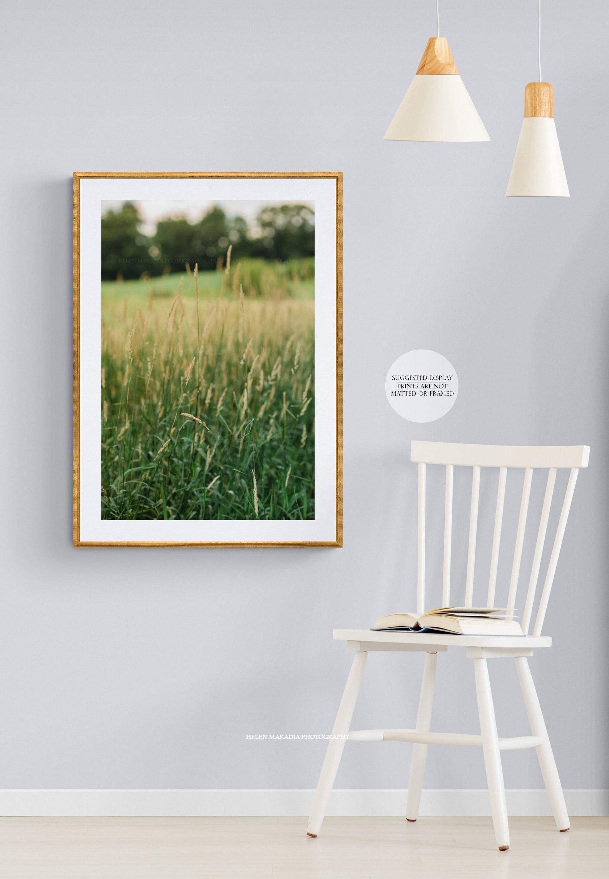 A field of golden summer grass framed