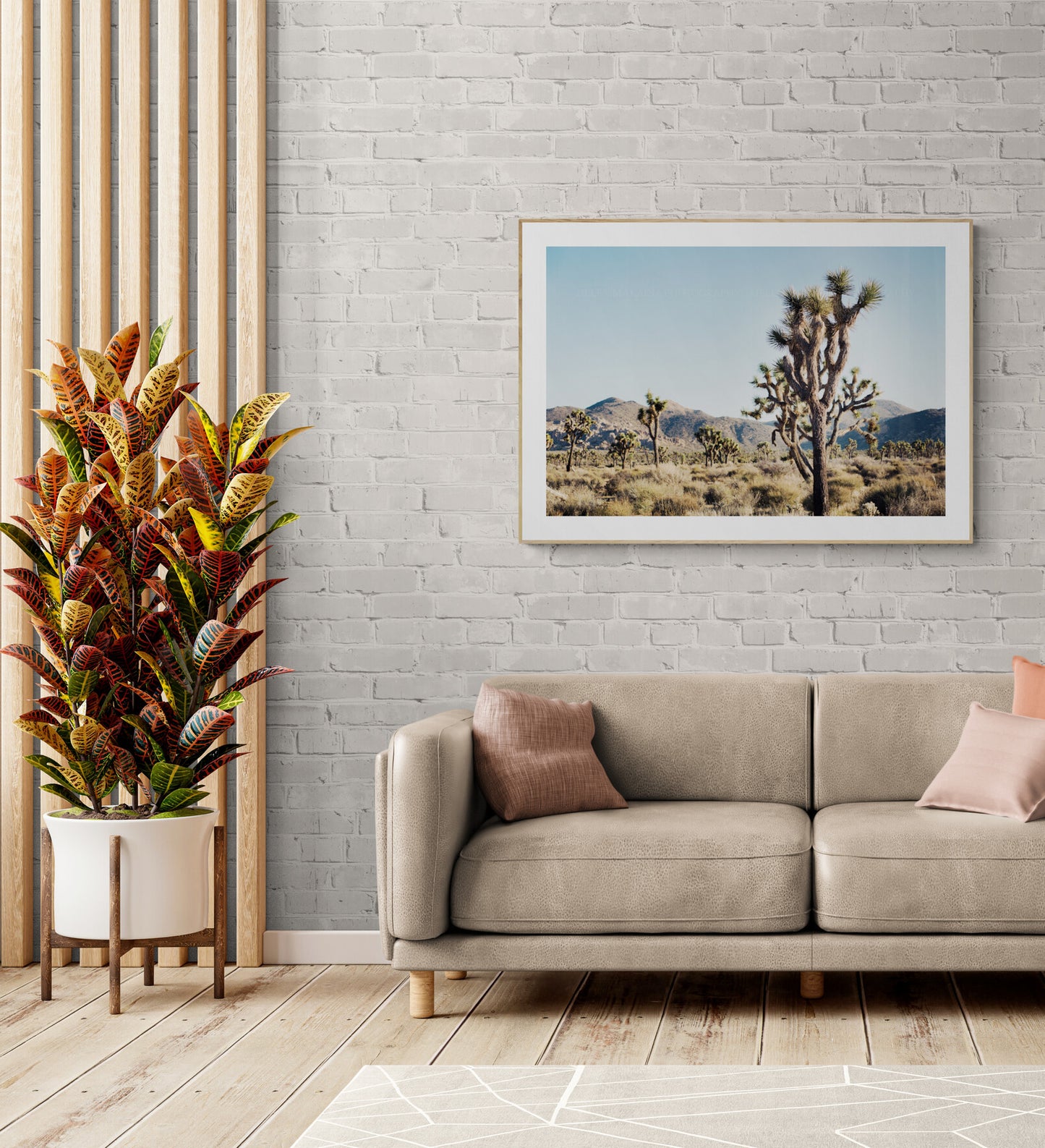 Joshua Tree National Park Photograph Print in a living room as wall art