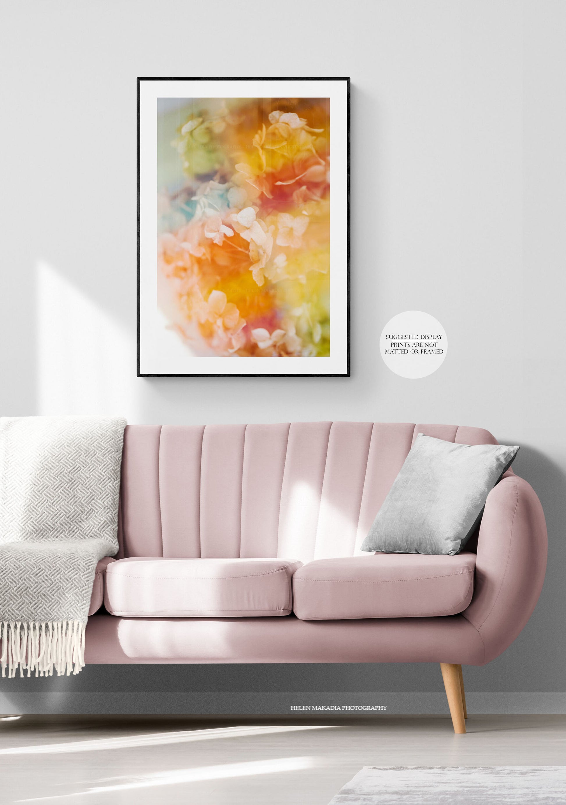 Framed Double Exposure Photograph of Hydrangea Petals and Rainbow Pastels above a Pink Couch