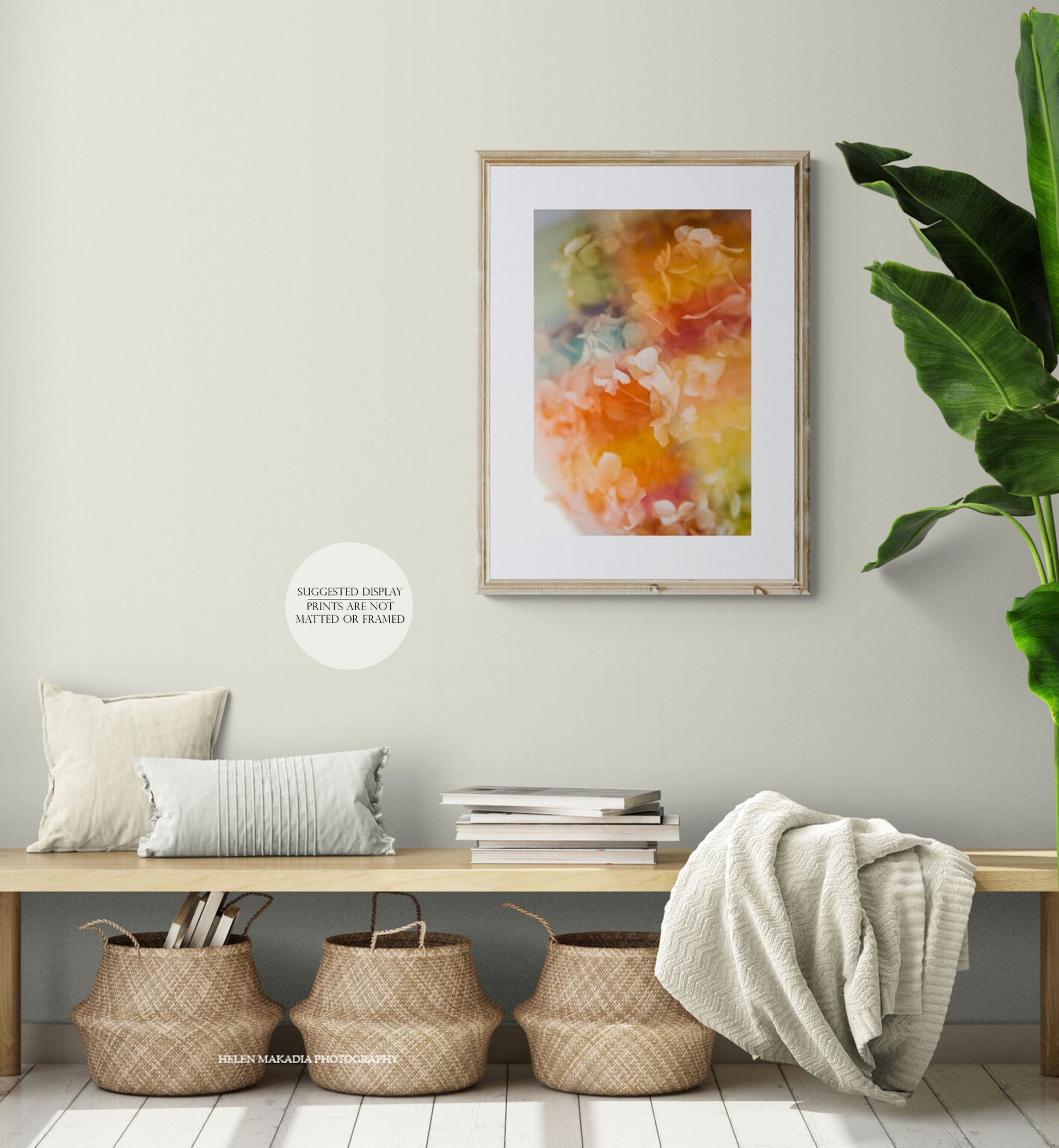 Framed Double Exposure Photograph of Hydrangea Petals and Rainbow Pastels in an Entryway