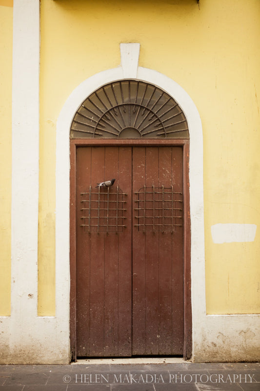 Wooden Door in Old San Juan Puerto Rico