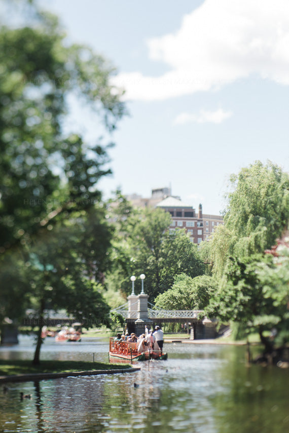 Photograph of Boston Public Garden in Summer with the bridge and swam boats in the distance